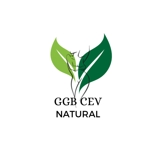 GGB CEV